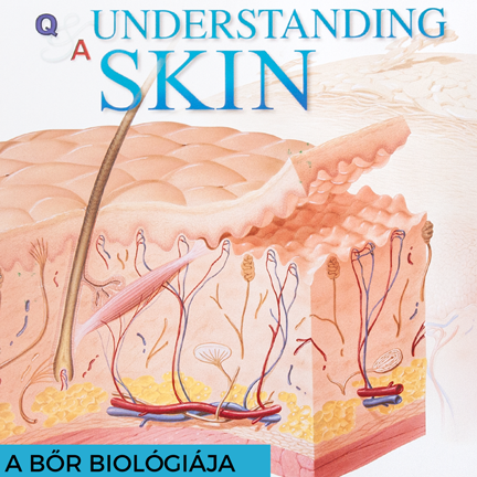 A bőr felépítése: így működik & így befolyásolhatod bőrápolással